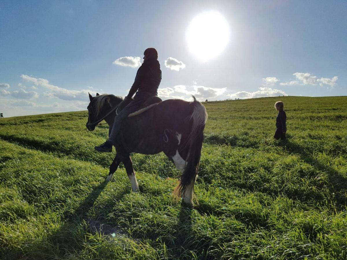 Sassen Funny-Farmヴィラ エクステリア 写真