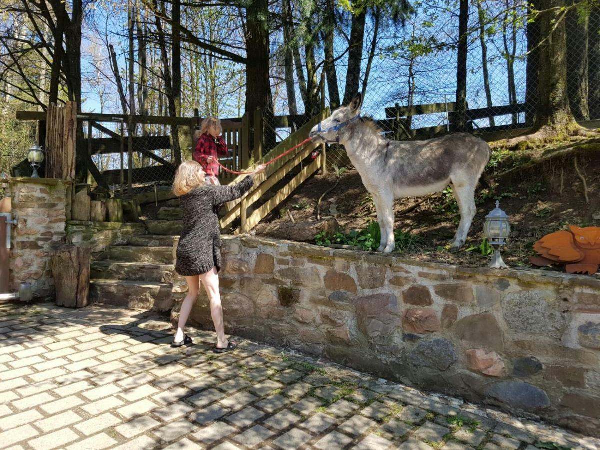 Sassen Funny-Farmヴィラ エクステリア 写真