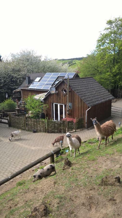 Sassen Funny-Farmヴィラ エクステリア 写真